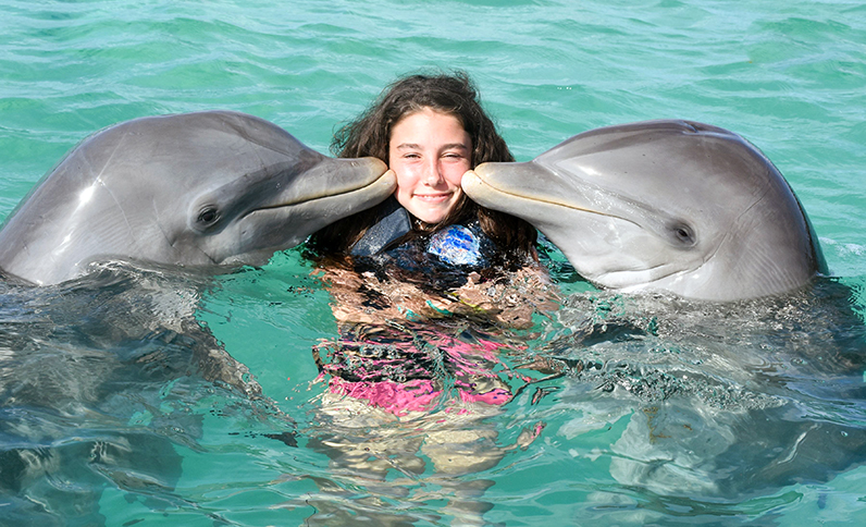 grand cayman resort hotel near dolphin swims